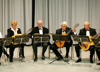 Orchester des Karlsruher Mandolinen- und Gitarrenvereins 1903 e. V.